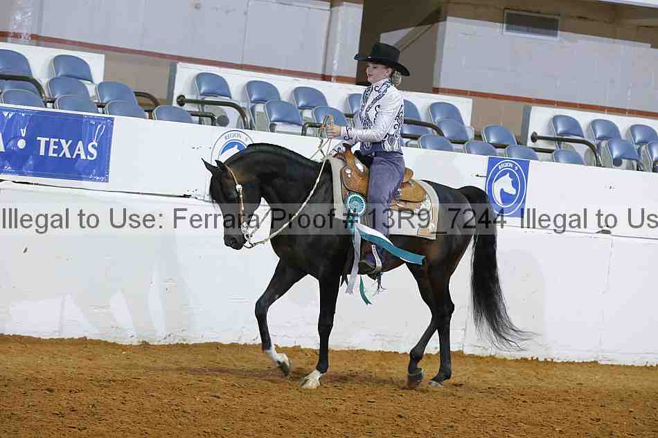 Proof 13r9_7244