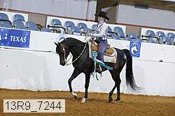 13r9_7244 proof