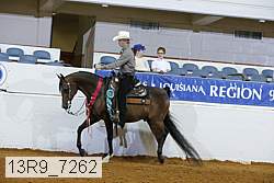13r9_7262 proof