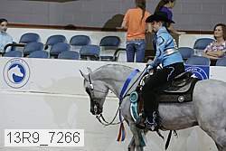 13r9_7266 proof