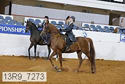 13r9_7273 proof