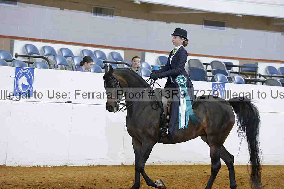 Proof 13r9_7279
