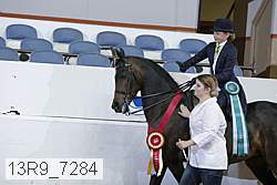 13r9_7284 proof