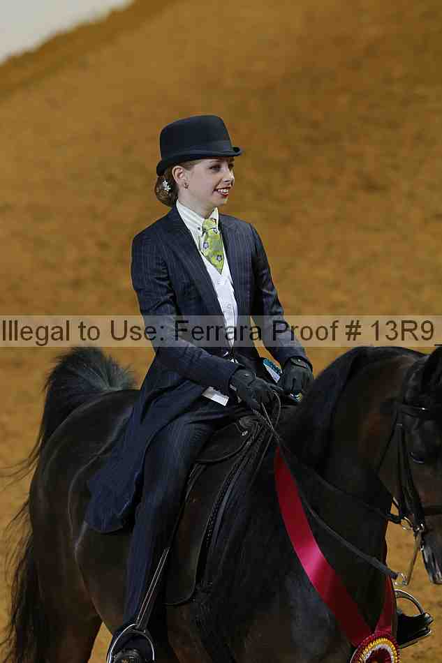 Proof 13r9_7288