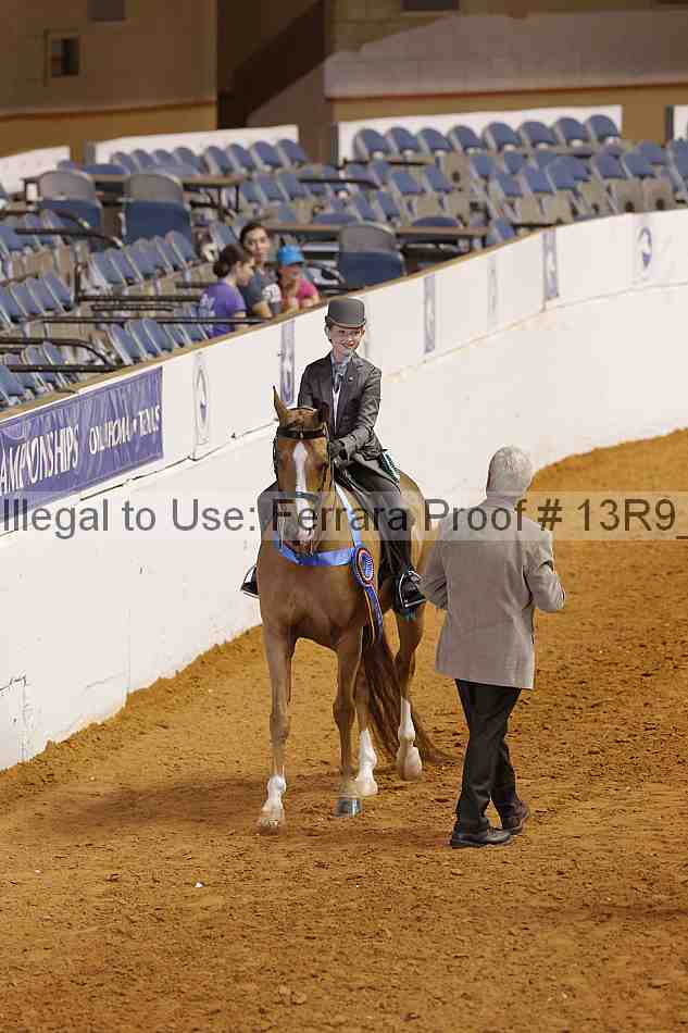 Proof 13r9_7295
