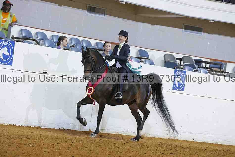Proof 13r9_7305