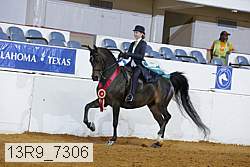 13r9_7306 proof