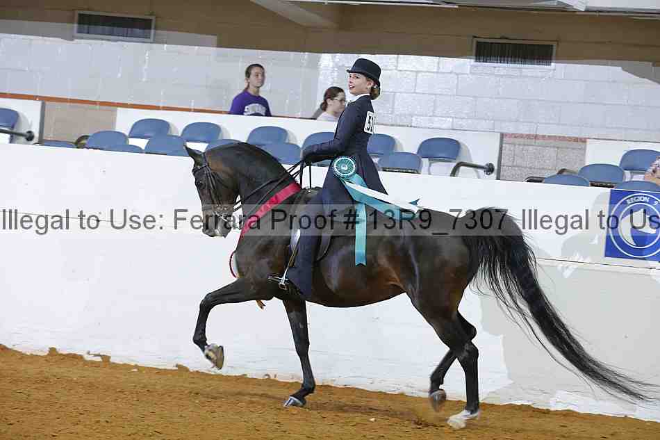Proof 13r9_7307
