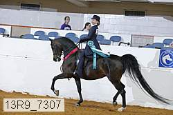13r9_7307 proof