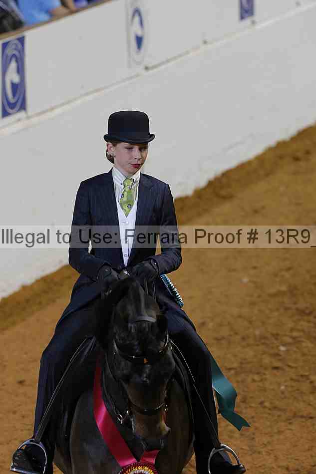 Proof 13r9_7309