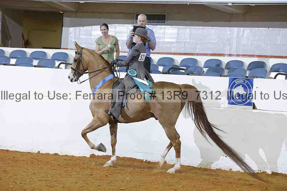 Proof 13r9_7312