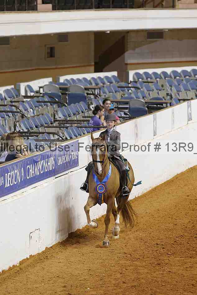 Proof 13r9_7313