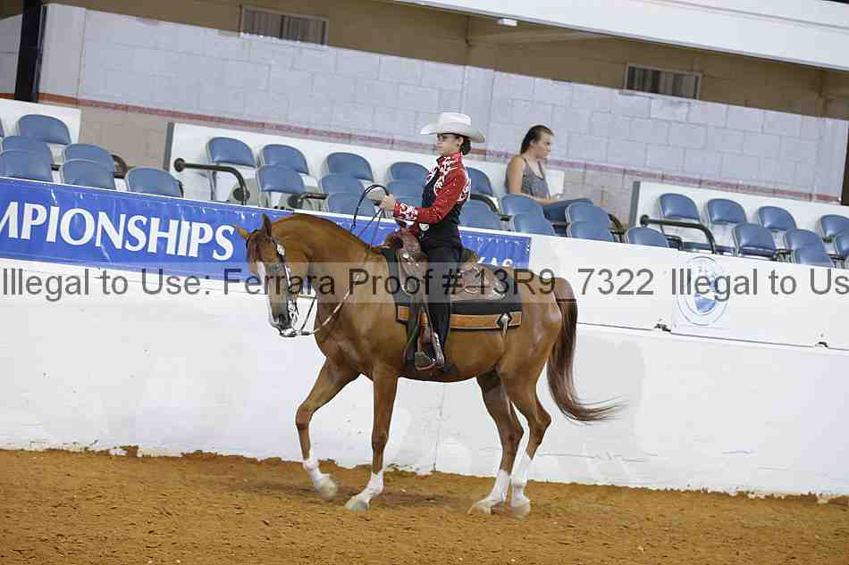 Proof 13r9_7322