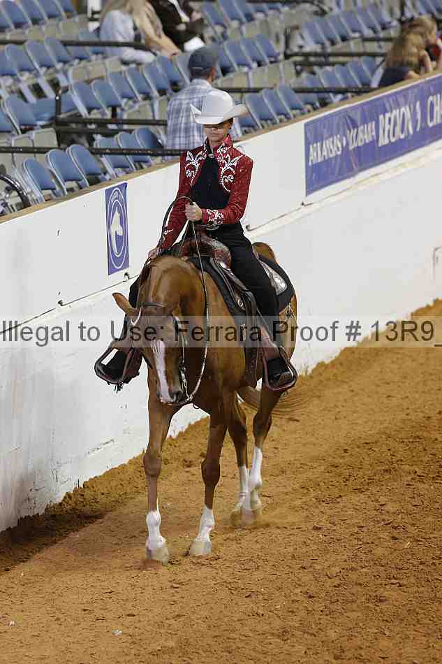 Proof 13r9_7326