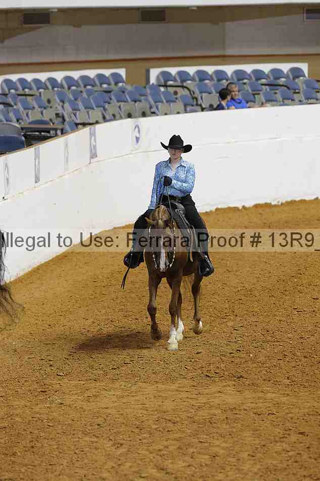 Proof 13r9_7327