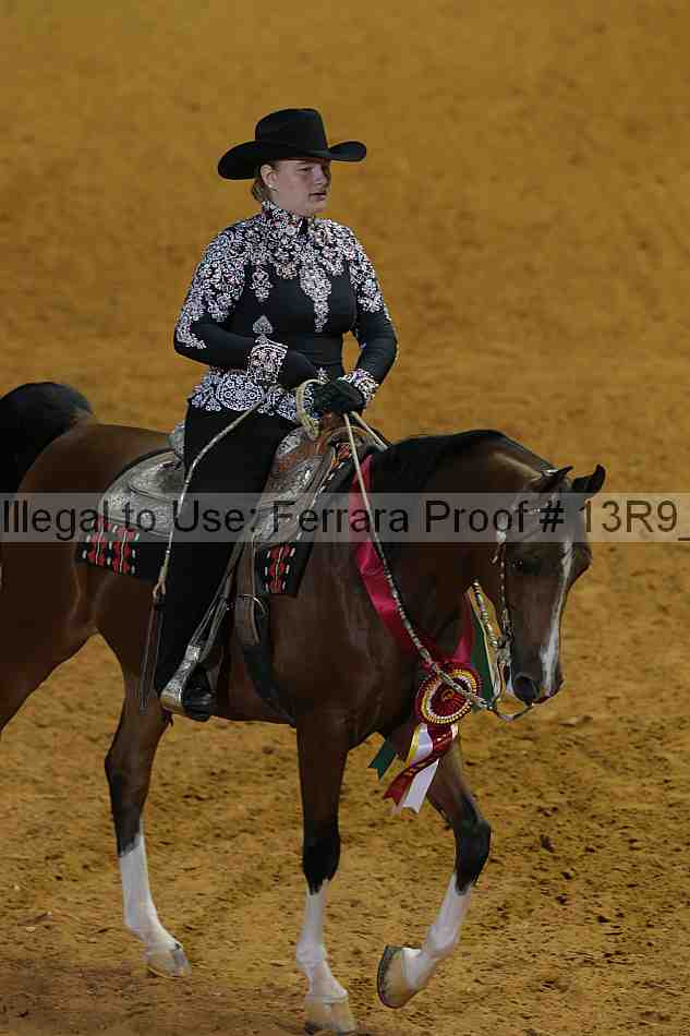 Proof 13r9_7335