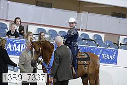 13r9_7337 proof