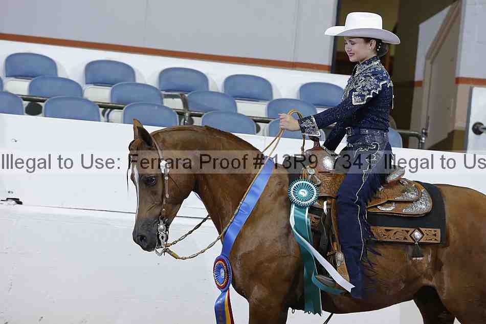 Proof 13r9_7341