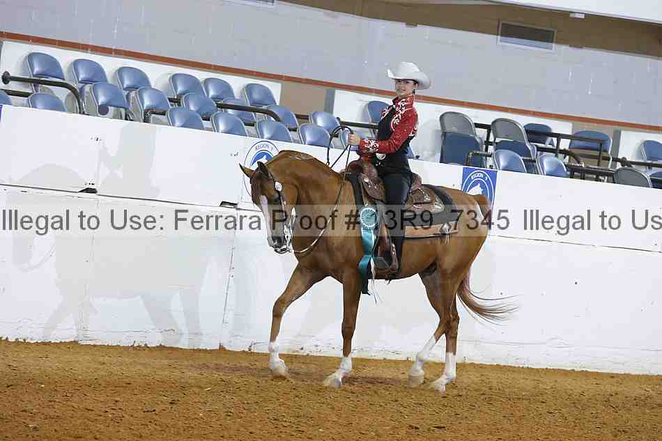 Proof 13r9_7345