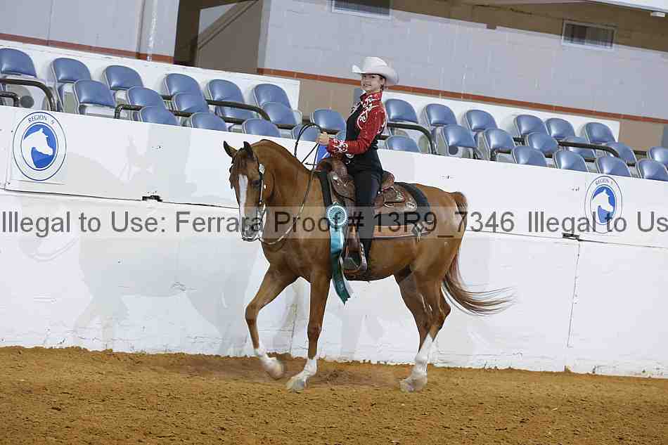 Proof 13r9_7346