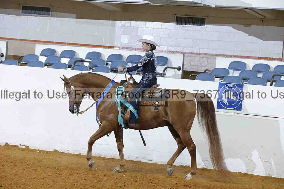 Proof 13r9_7367