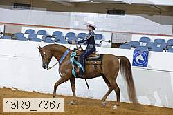 13r9_7367 proof