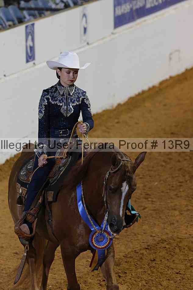 Proof 13r9_7370