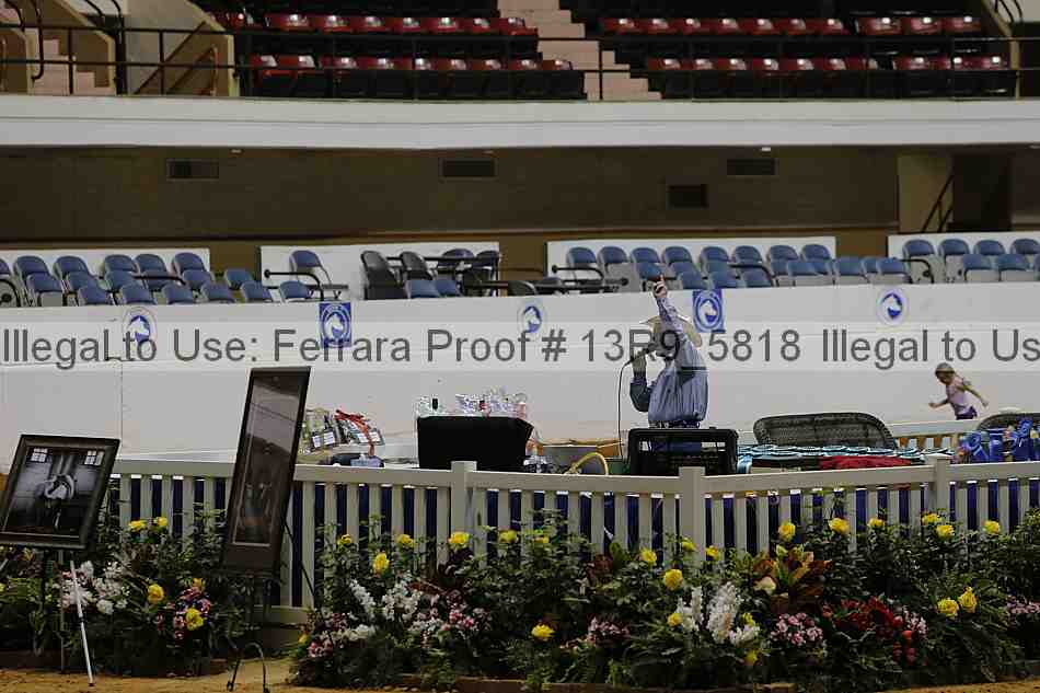 Proof 13r9_5818