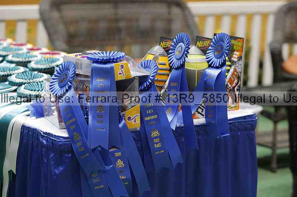 Proof 13r9_5850