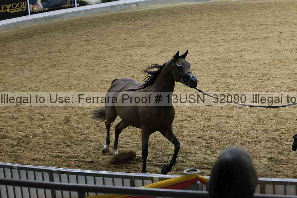 Proof 13usn_32090