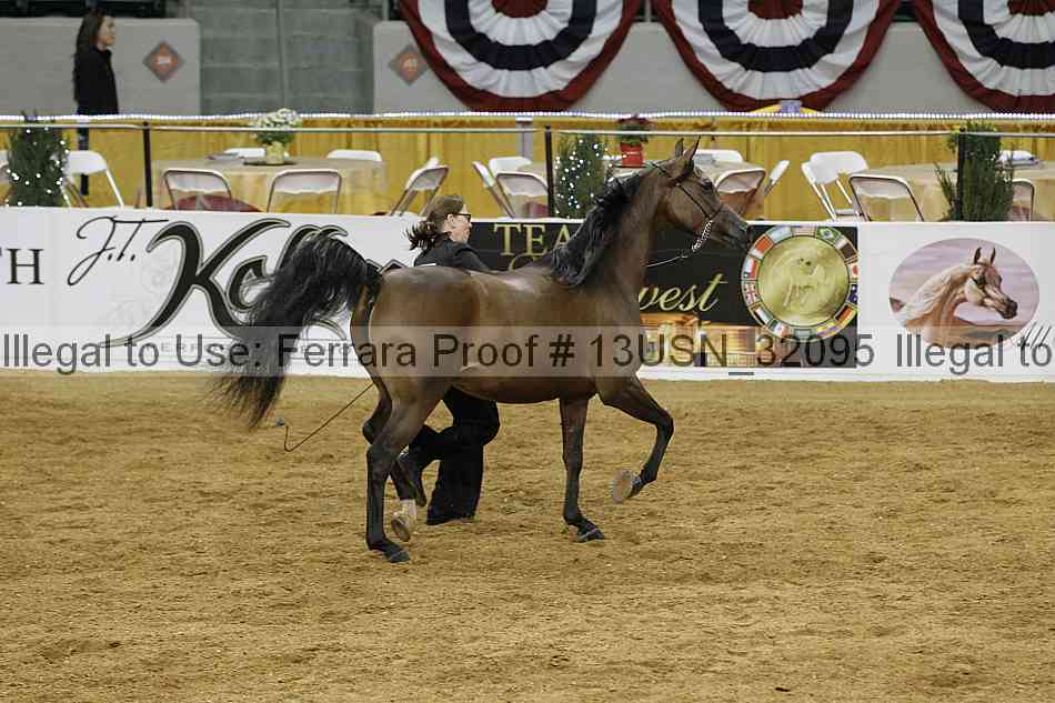 Proof 13usn_32095
