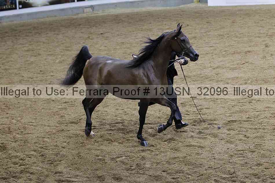 Proof 13usn_32096