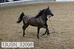 13usn_32096 proof