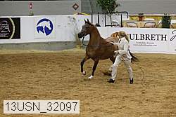 13usn_32097 proof