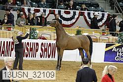 13usn_32109 proof