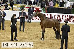 13usn_27265 proof