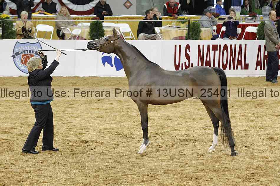 Proof 13usn_25401