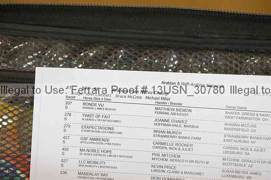 Proof 13usn_30780