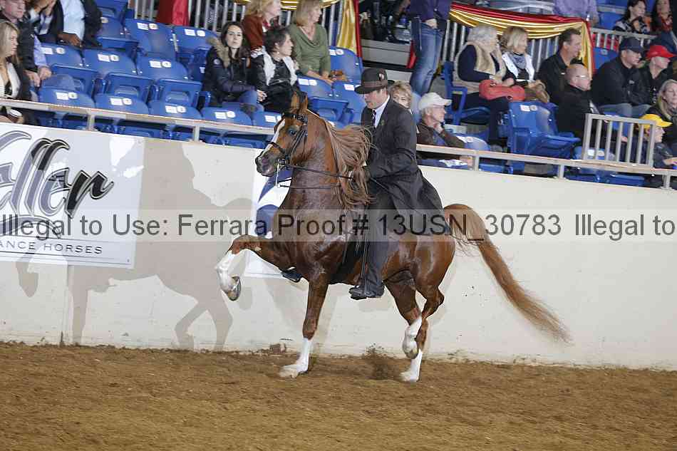 Proof 13usn_30783