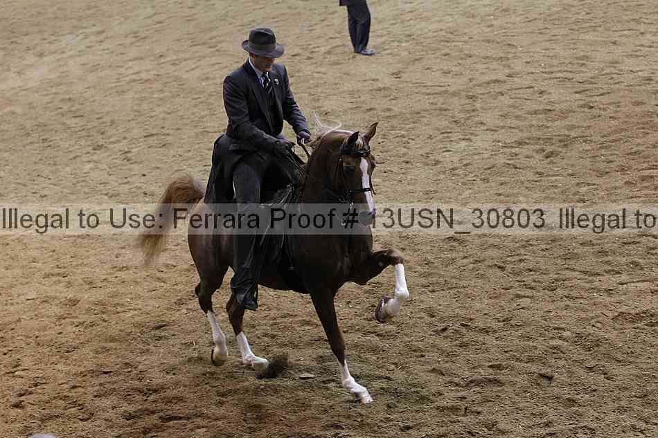 Proof 13usn_30803