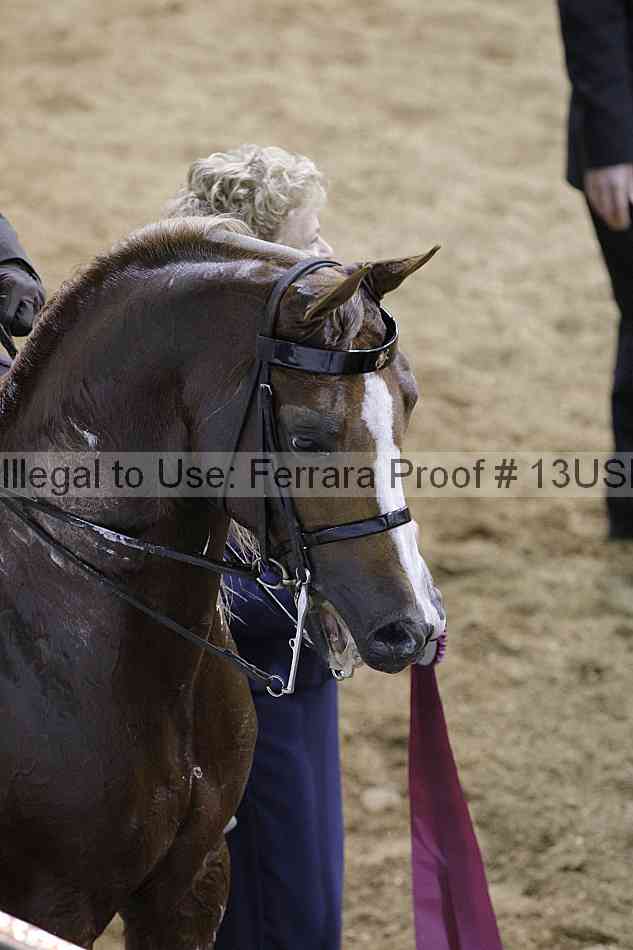 Proof 13usn_30815