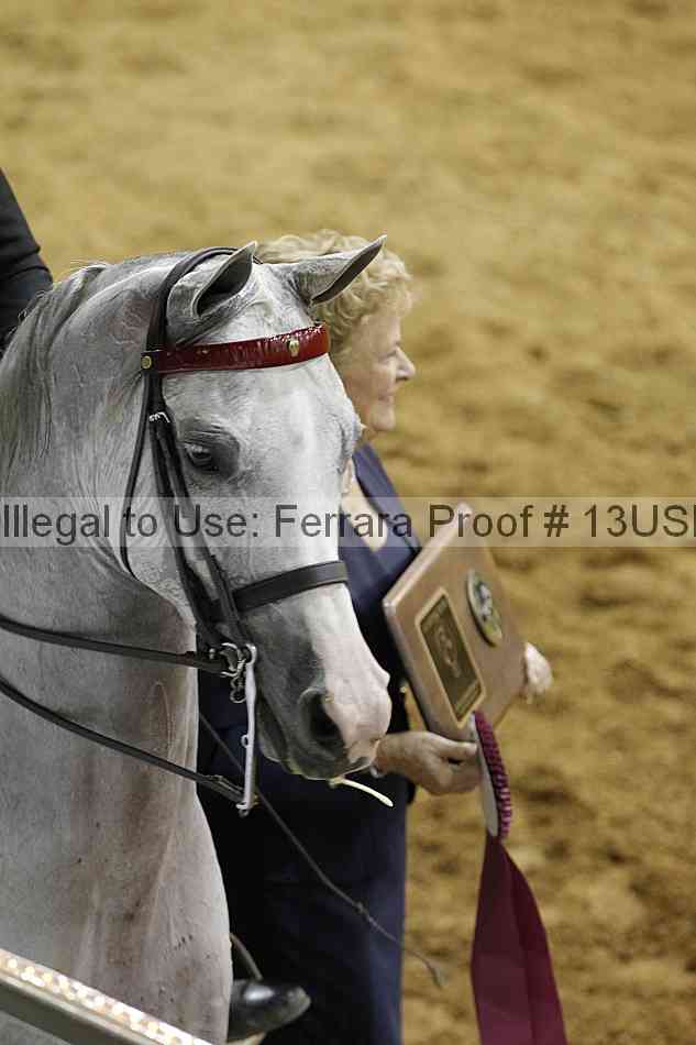 Proof 13usn_30818