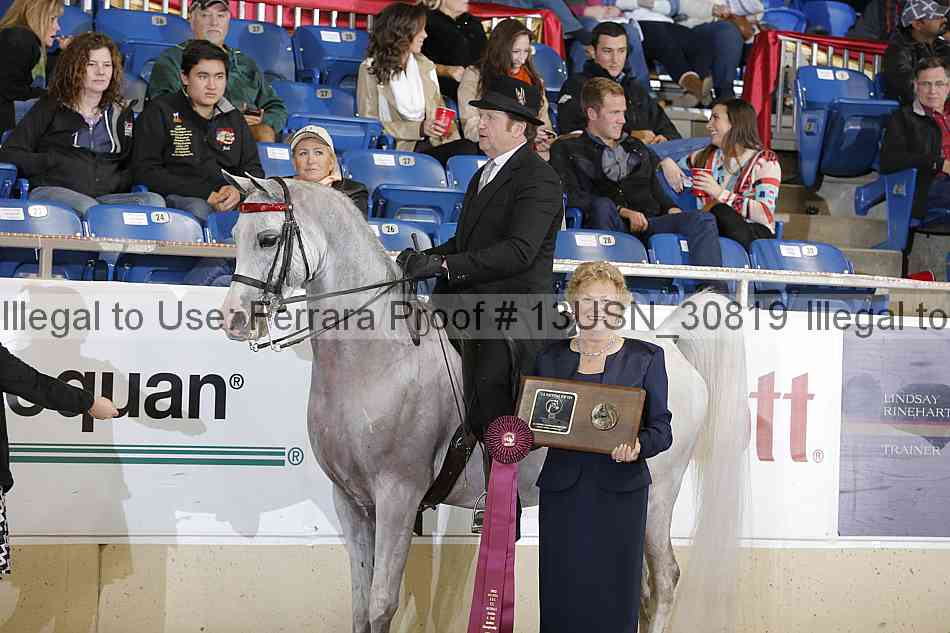 Proof 13usn_30819