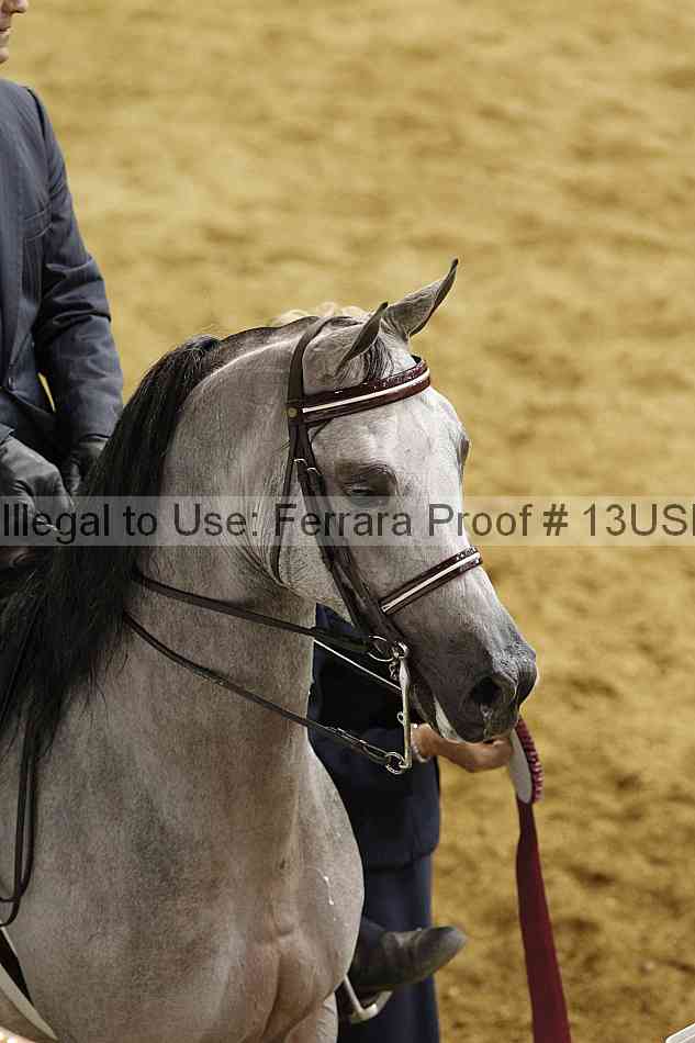 Proof 13usn_30823