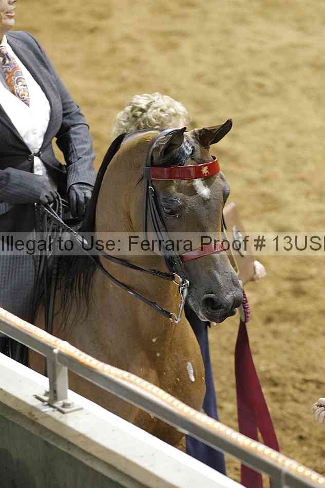 Proof 13usn_30825