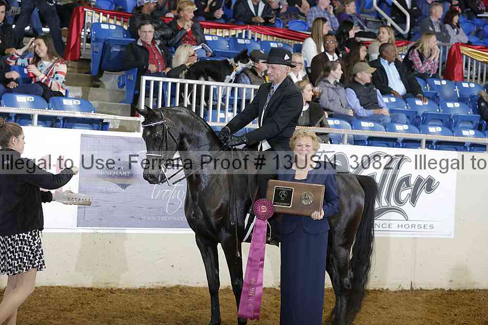 Proof 13usn_30827