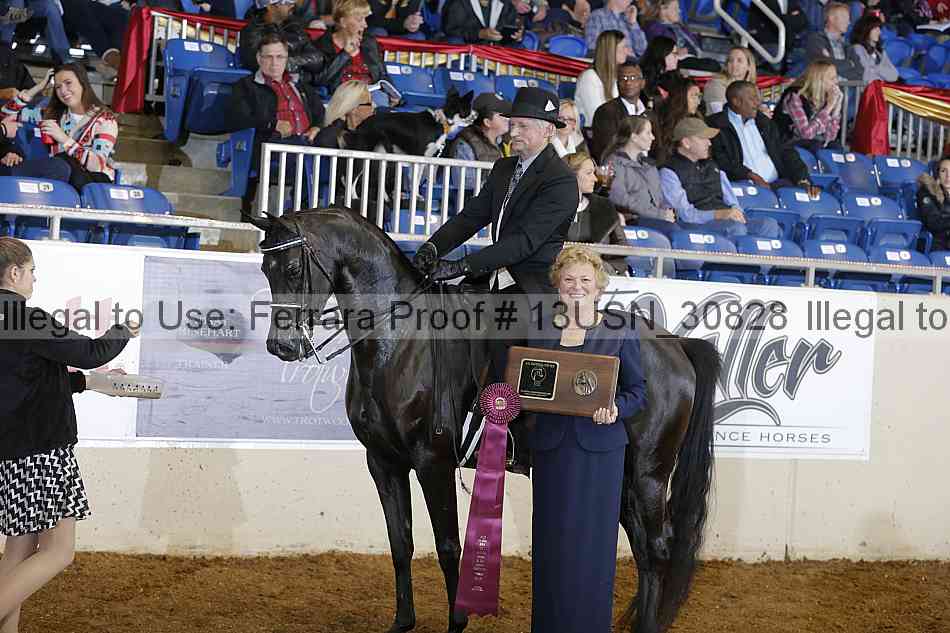 Proof 13usn_30828