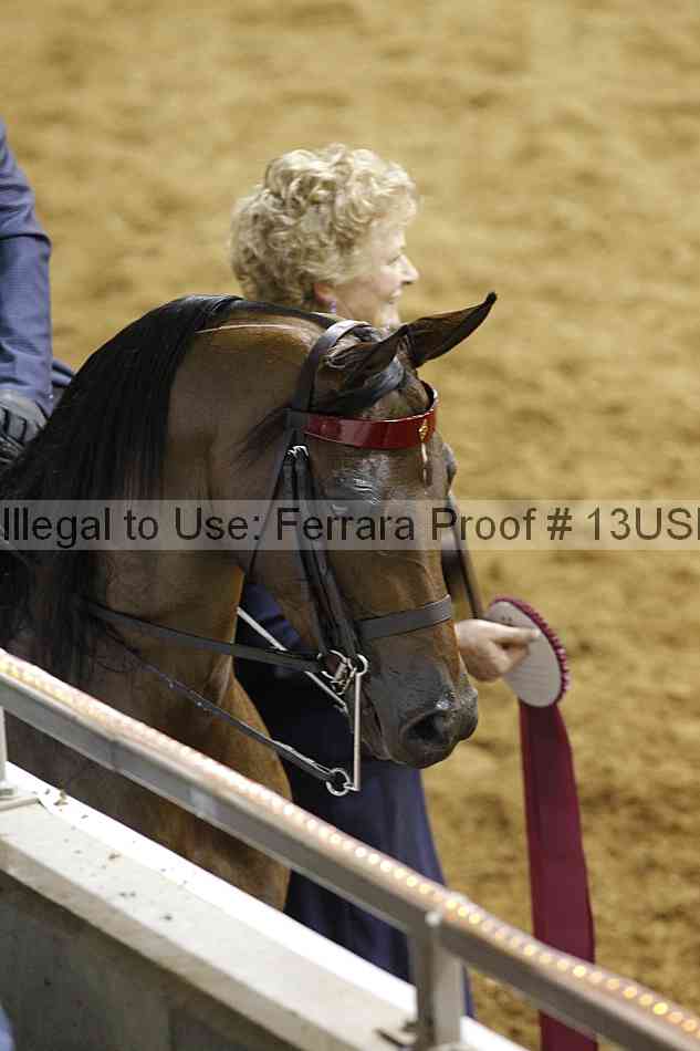 Proof 13usn_30832