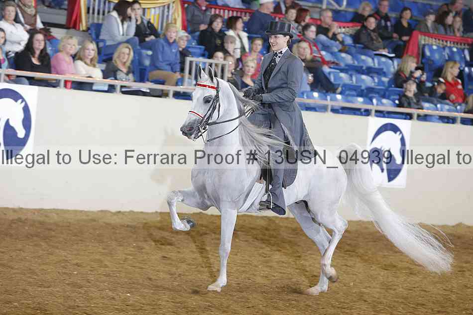 Proof 13usn_04939