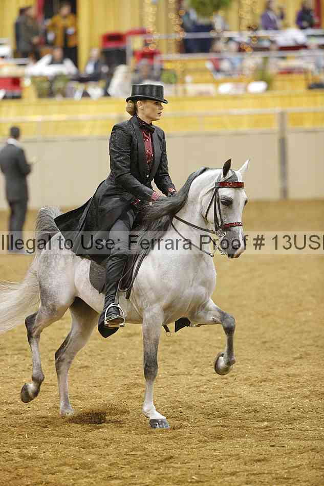 Proof 13usn_04956